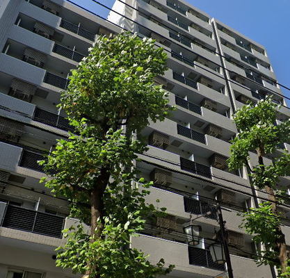 東京都文京区白山５丁目 賃貸マンション 1K